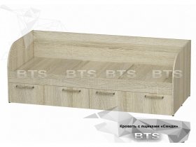 Кровать детская Сенди КР-01 (BTS) в Чистоозёрном - chistoozyornoe.mebel-nsk.ru | фото