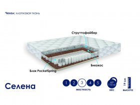 Матрас Селена (хлопок) в Чистоозёрном - chistoozyornoe.mebel-nsk.ru | фото