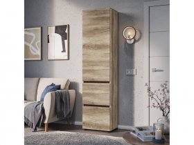 Пенал ПН-03 Энигма (венге/дуб каньон) в Чистоозёрном - chistoozyornoe.mebel-nsk.ru | фото