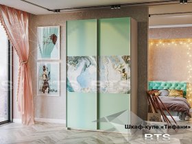 Шкаф-купе Тифани ШКК-01 (BTS) в Чистоозёрном - chistoozyornoe.mebel-nsk.ru | фото